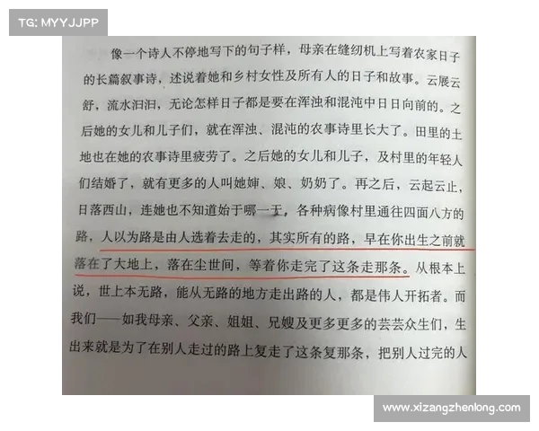《真探》全新视角揭秘犯罪心理与人性深渊探索之旅 《真探》全新视角揭秘犯罪心理与人性深渊探索之旅